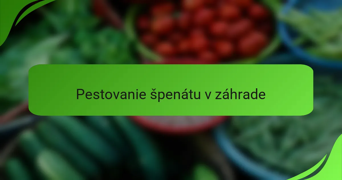 Pestovanie špenátu v záhrade
