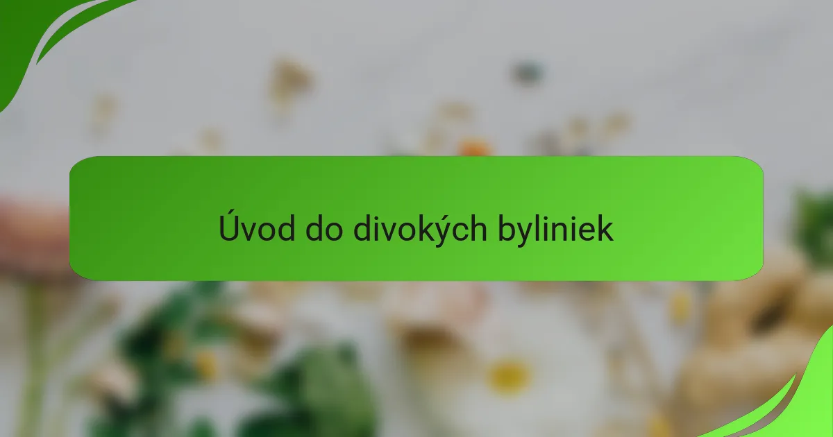 Úvod do divokých byliniek